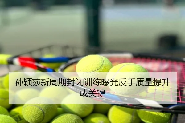 孙颖莎新周期封闭训练曝光反手质量提升成关键